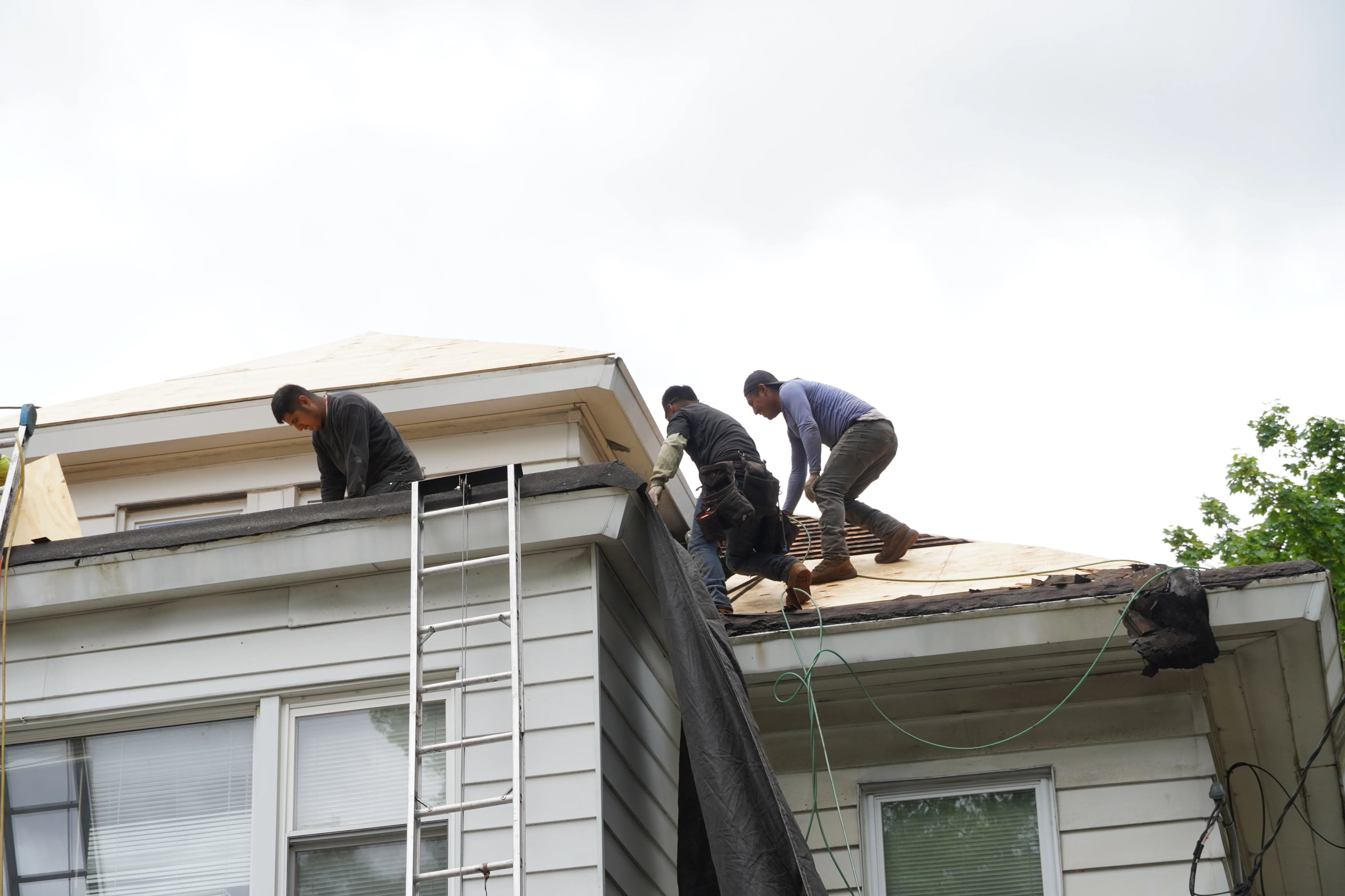 Shingle Roof Repair and Maintenance